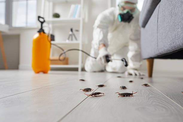 Commercial Kitchen Cockroach Control in Sewanee